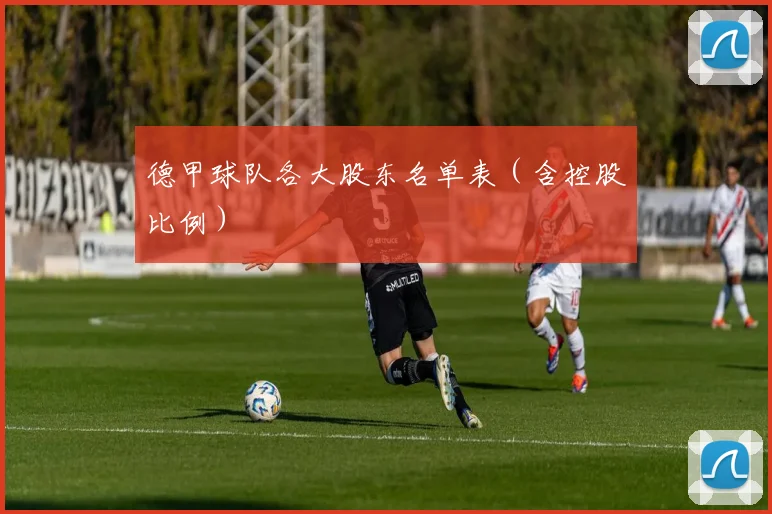 德甲球队各大股东名单表（含控股比例）