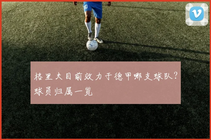 格里夫目前效力于德甲哪支球队？球员归属一览