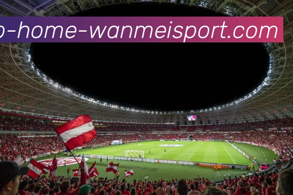 多媒体互动体验