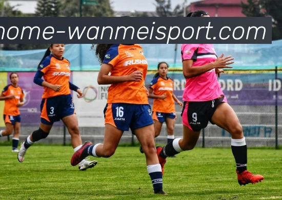 完美体育APP 体育赛事宣传图